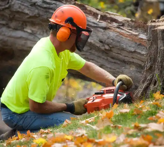 tree services Hallowell